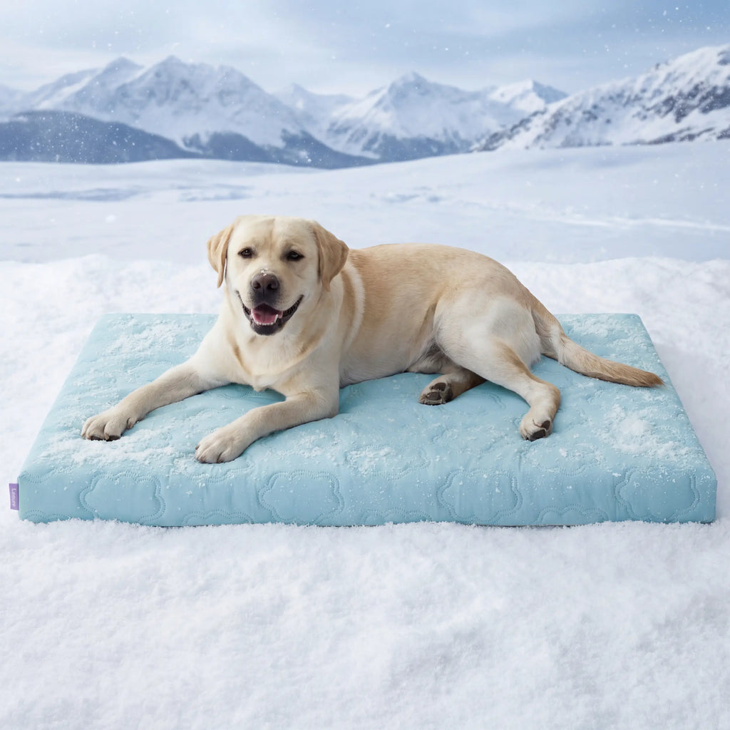 Extra-thick, cooling orthotic mat for dogs – Q-Max>0.5. Cooling mat with washable cover, egg-cage style foam non-slip bed, suitable for extra-large breeds.