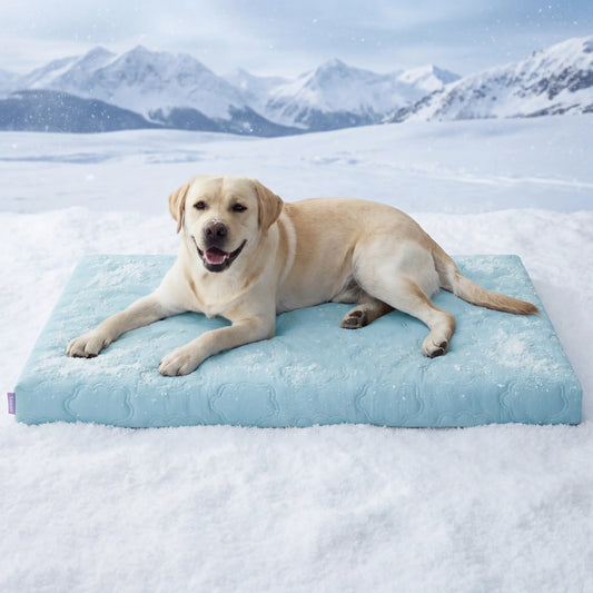 Extra-thick, cooling orthotic mat for dogs – Q-Max>0.5. Cooling mat with washable cover, egg-cage style foam non-slip bed, suitable for extra-large breeds.