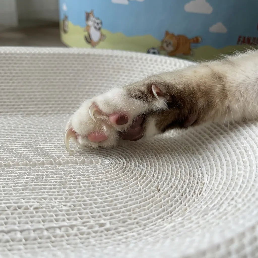 【Summmer Launch】No-shed oval cat scratcher with ample space to play and sleep. Made of premium reinforced, non-slip corrugated cardboard